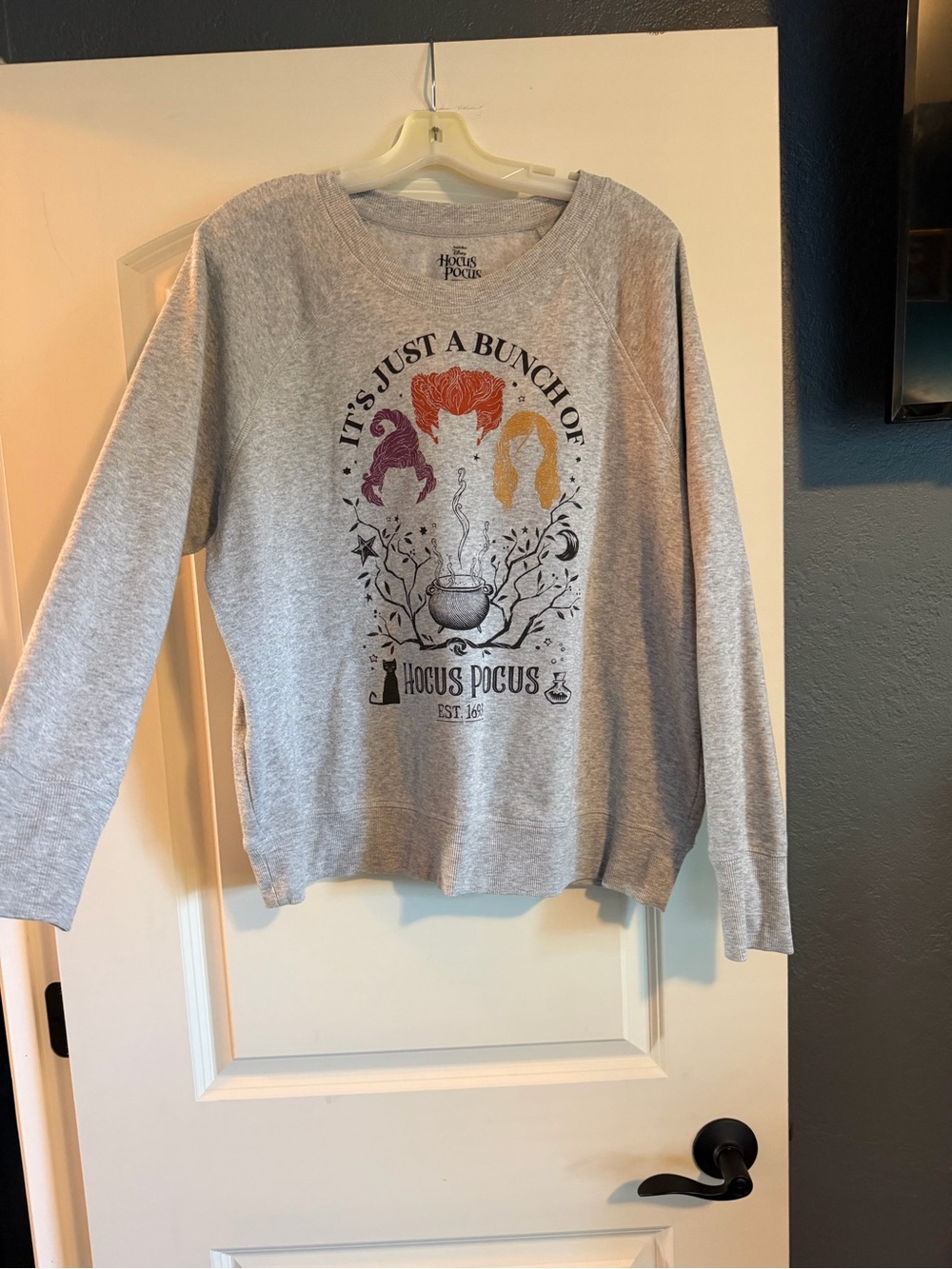 Disney XL Hocus Pocus Gray Graphic Women's Sweater